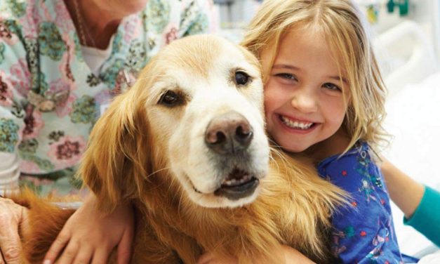 Unleashing HOPE | Stem cell therapy for pets