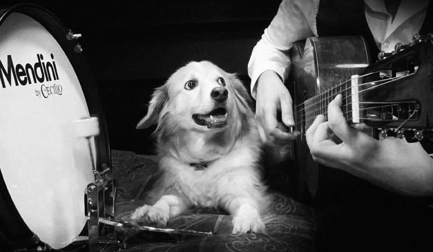 Trench & Maple | Musical Best Friends