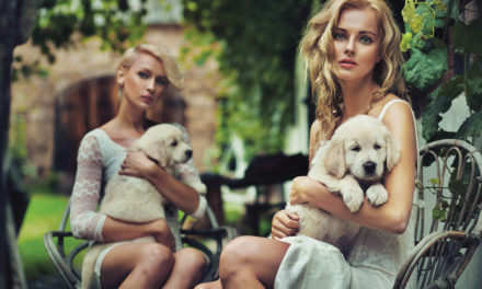 Mind the Benefits of a Furry Companion