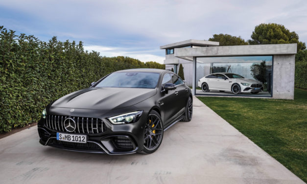 A new addition to the family