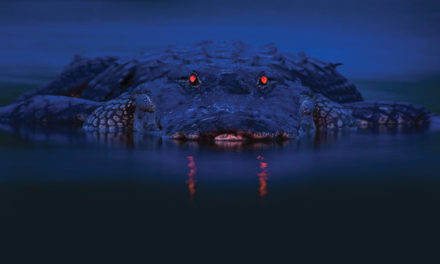 Experience Primal Fear