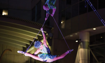 The Creative Project