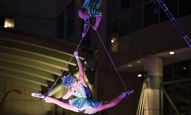 The Creative Project