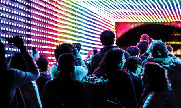 In Case You Missed It!