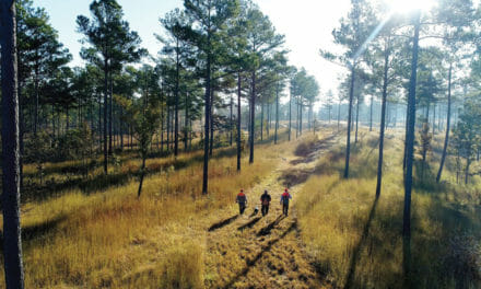 Lay Low in the Historic High Country at the Barnsley Resort