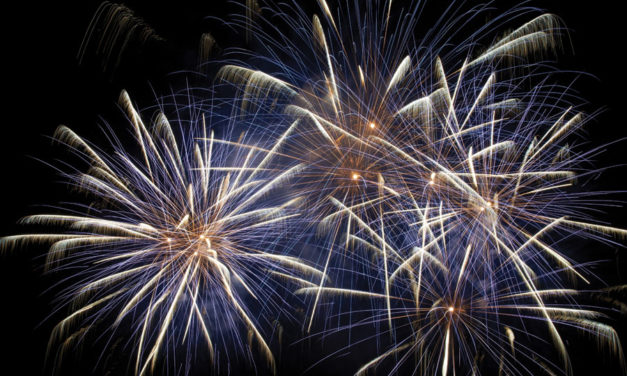 In Case You Missed It!