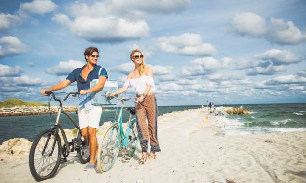 Discover The Palm Beaches