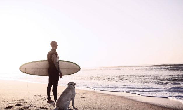 Sand Between Their Paws