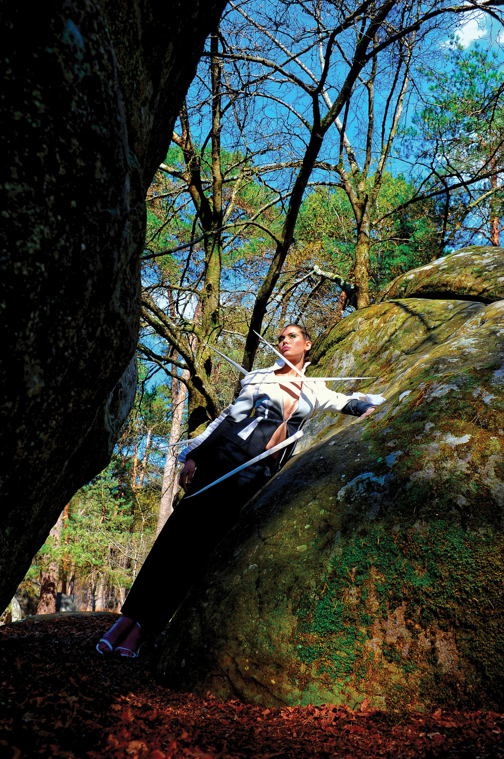 Fairies In The Forest
