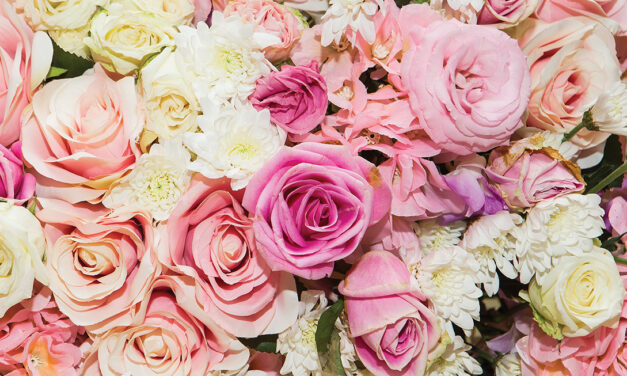 Art in Bloom – Festival of Fine Arts and Flowers