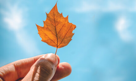 In Case You Missed It