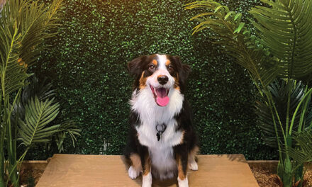 Attention all four-legged friends!