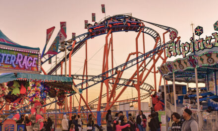 In Case You Missed It by Riesa Pascal