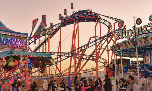 In Case You Missed It by Riesa Pascal