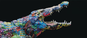 gator