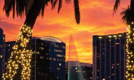 Downtown Orlando Spotlight