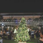 Lakeside Lights