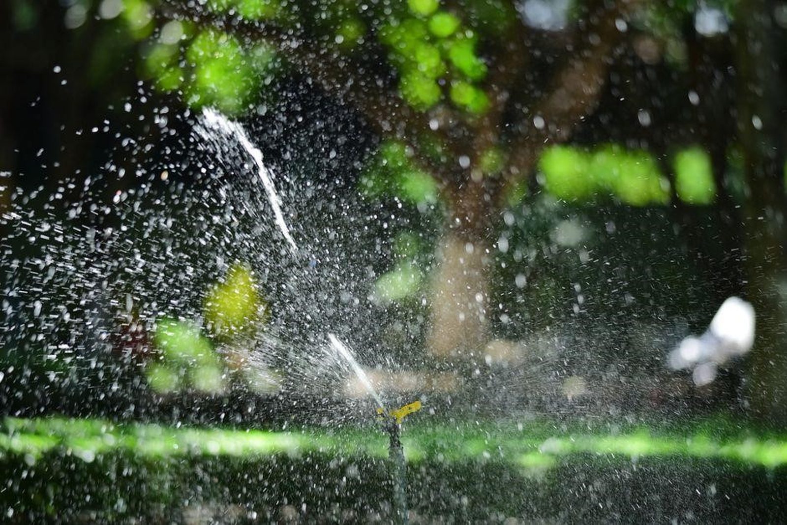 Sunrise Irrigation sprinkler repair
